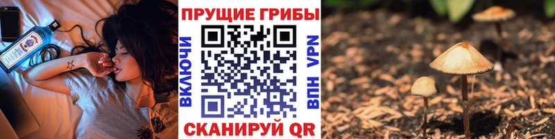 Галлюциногенные грибы мицелий  Вилючинск 